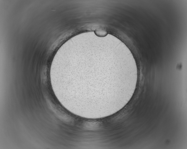 X0000116150202201001041100