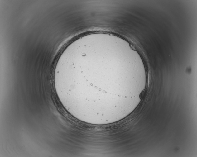 X0000116150204201001041100