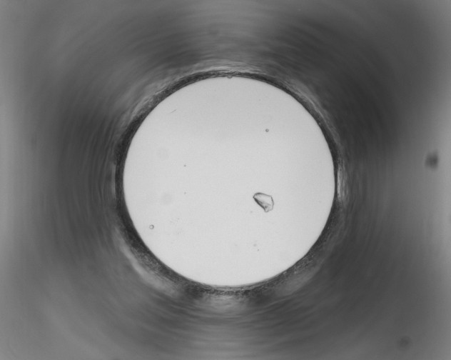 X0000116150205201001041100