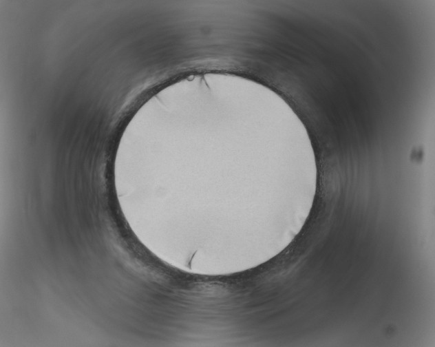 X0000116150207201001041100