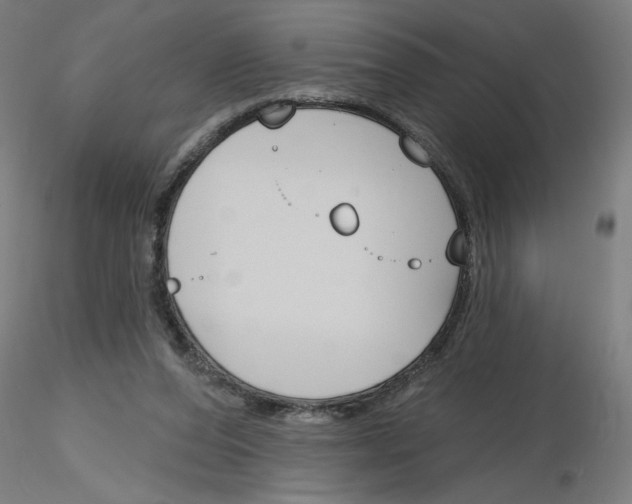 X0000116150208201001041100