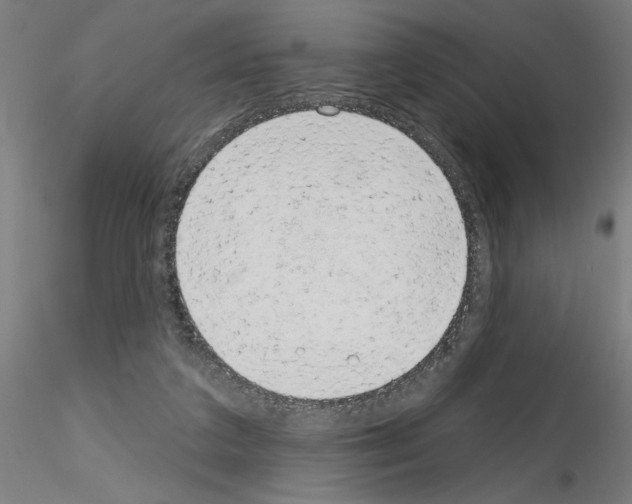 X0000116150211201001041100