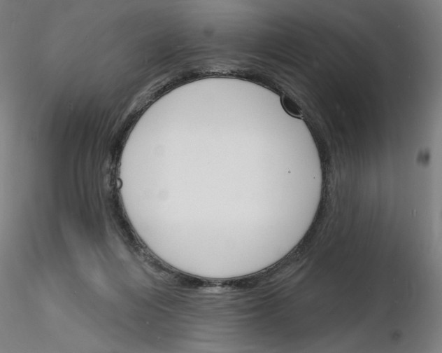 X0000116150216201001041100