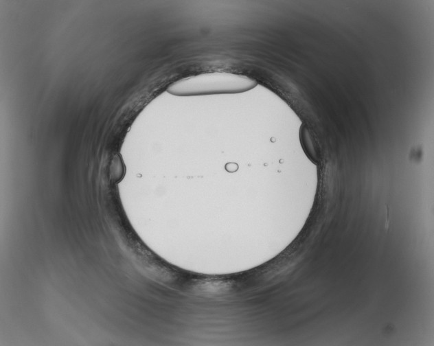 X0000116150217201001041100