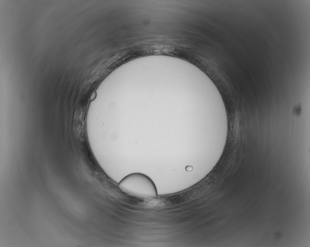 X0000116150218201001041100