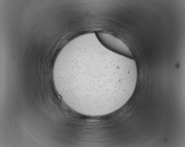 X0000116150220201001041100