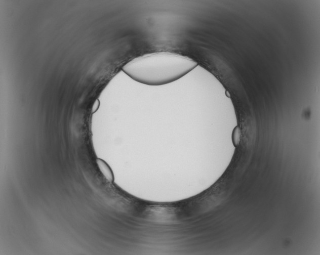 X0000116150221201001041100