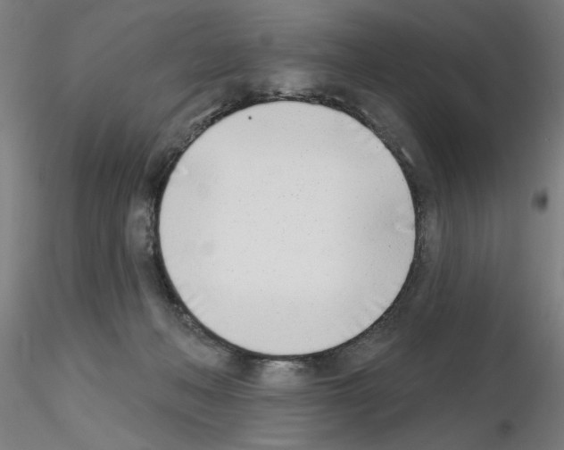 X0000116150222201001041100