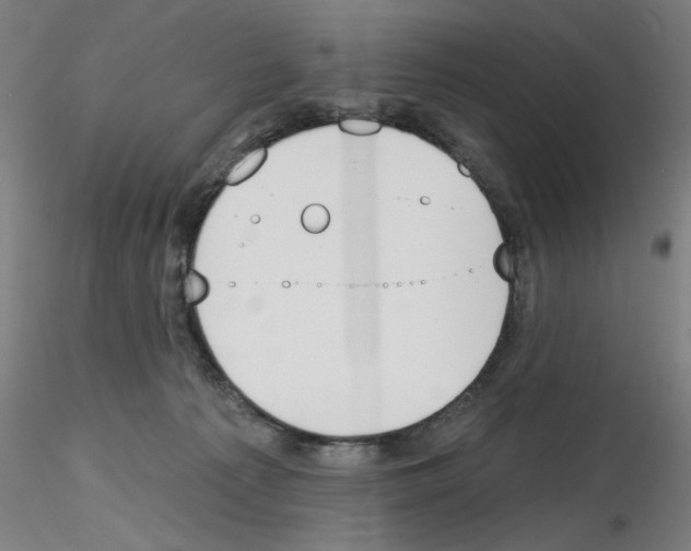 X0000116150225201001041100