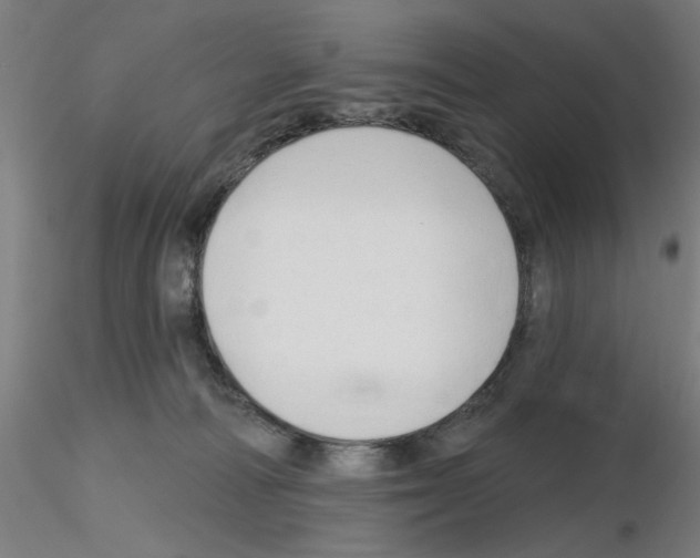 X0000116150226201001041100