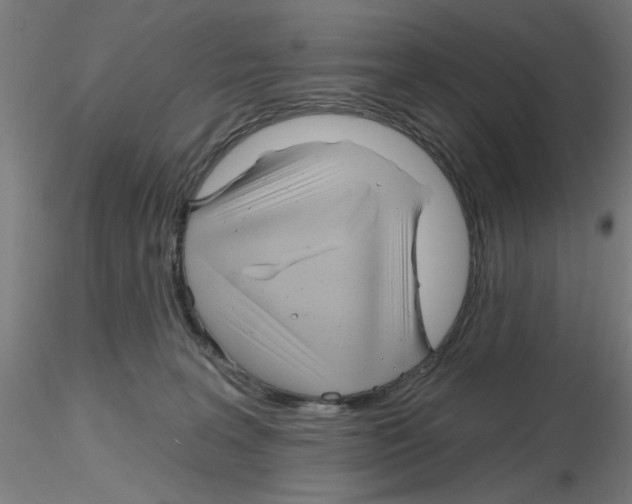 X0000116150227201001041100