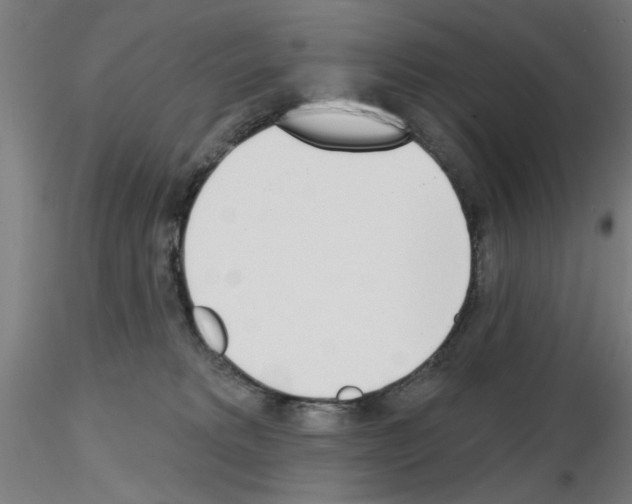 X0000116150229201001041100