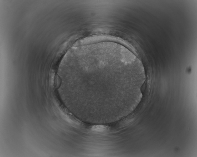 X0000116150231201001041100