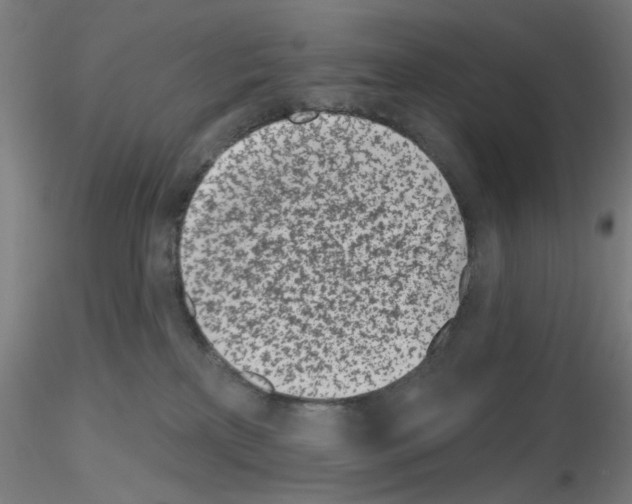 X0000116150233201001041100