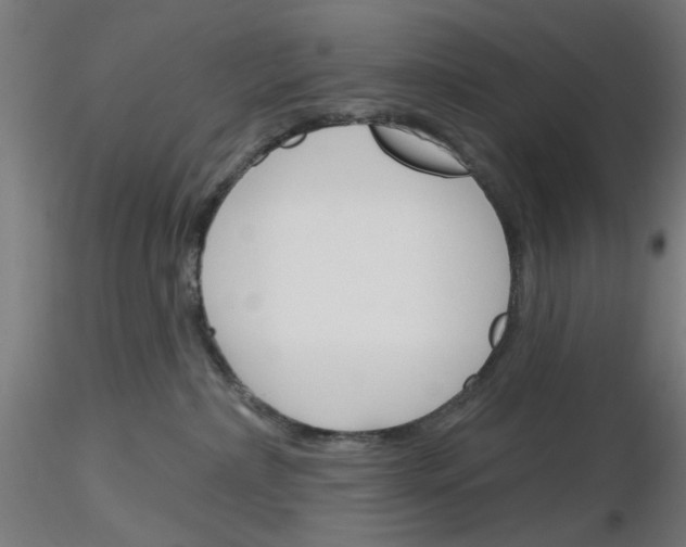 X0000116150236201001041100