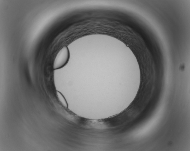 X0000116150239201001041100