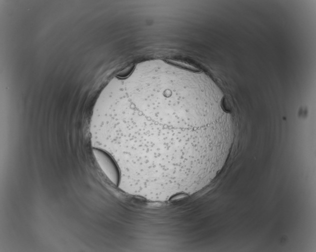 X0000116150240201001041100