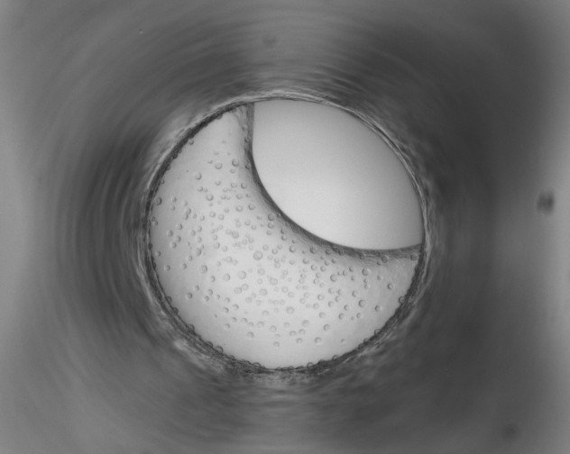 X0000116150241201001041059