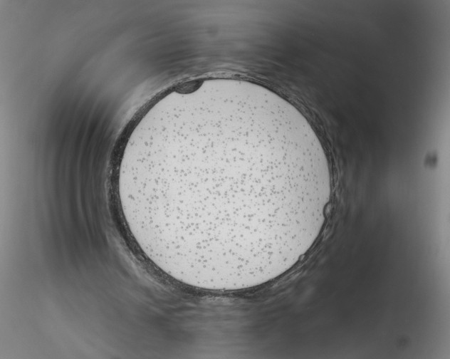 X0000116150242201001041059