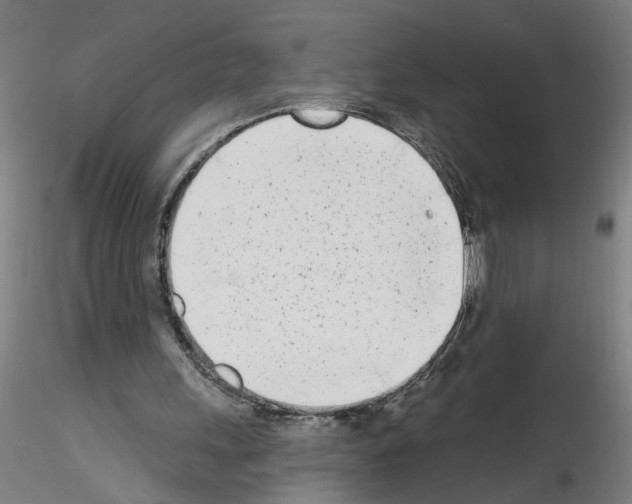 X0000116150243201001041059