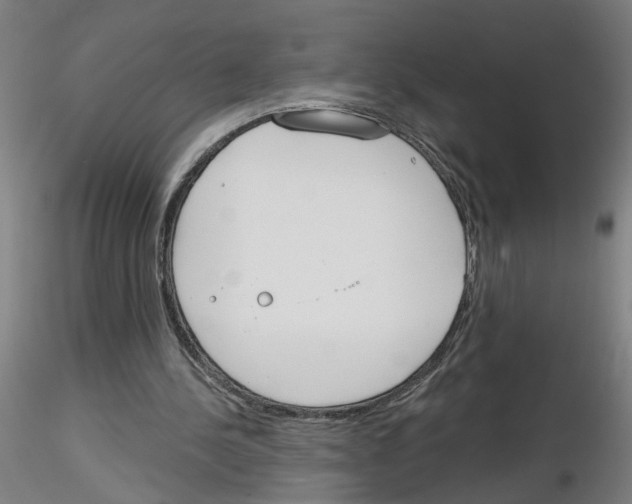 X0000116150244201001041059