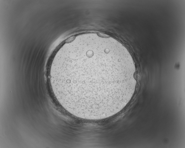 X0000116150246201001041059