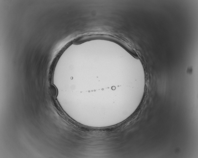 X0000116150248201001041059