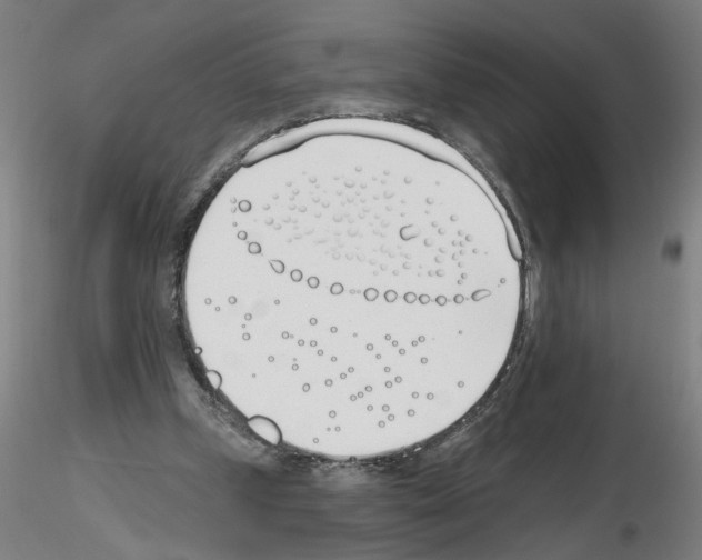 X0000116150249201001041059