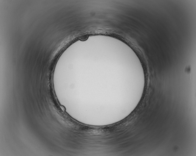 X0000116150250201001041059