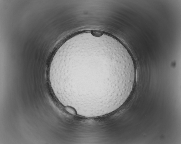 X0000116150253201001041059