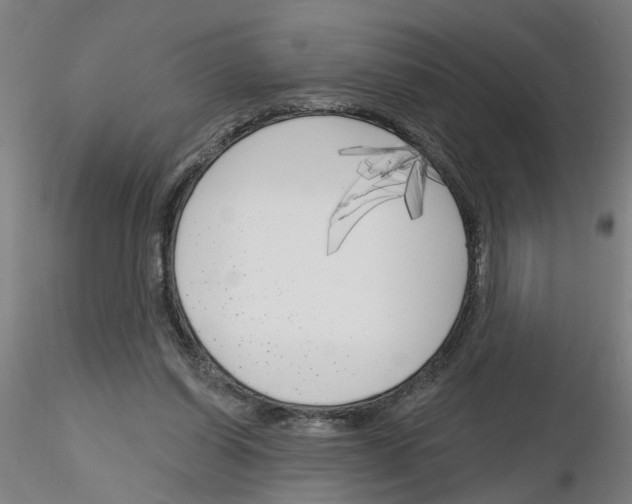 X0000116150254201001041059