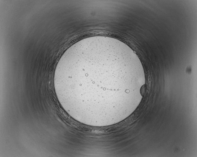 X0000116150255201001041059