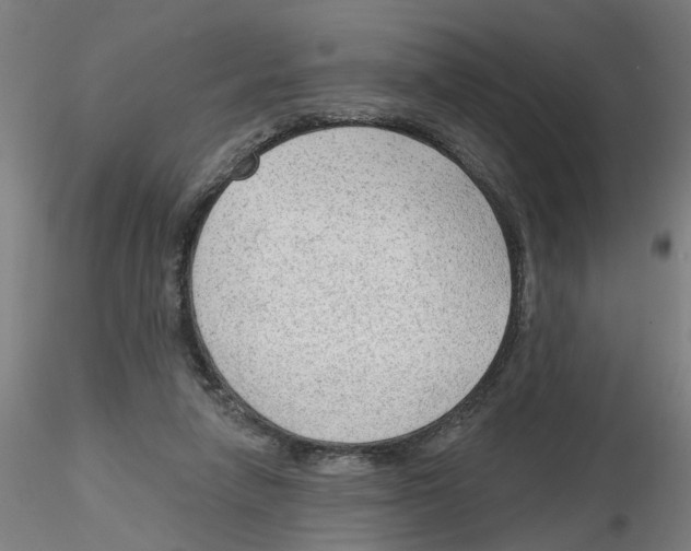 X0000116150258201001041059