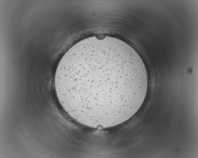 X0000116150261201001041059