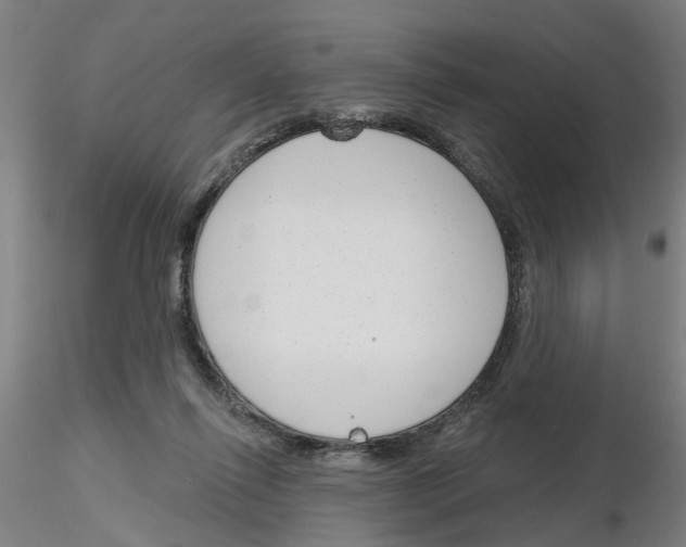 X0000116150262201001041059