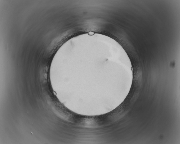 X0000116150264201001041059