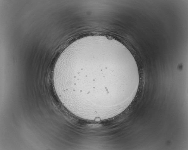 X0000116150266201001041059