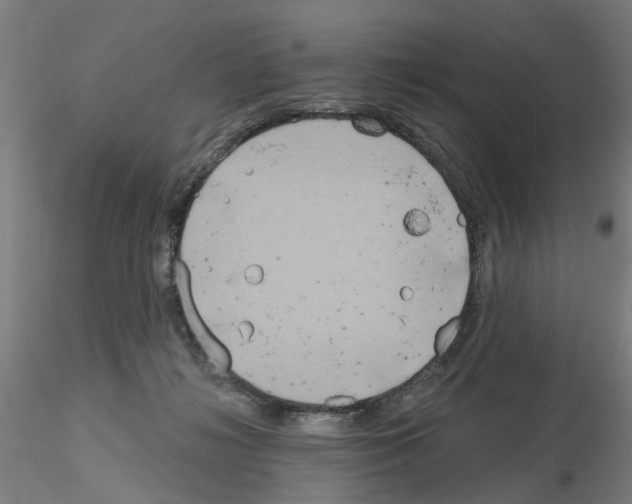 X0000116150268201001041059