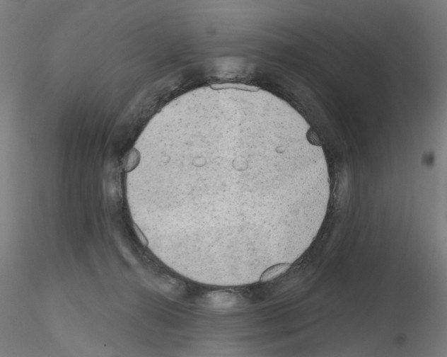 X0000116150272201001041059