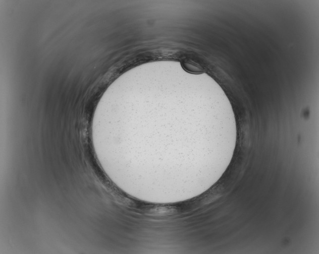 X0000116150274201001041059