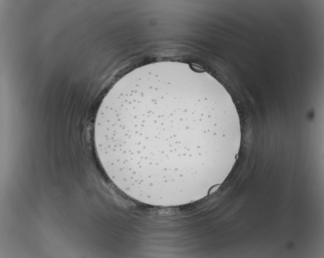 X0000116150282201001041100