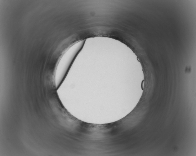 X0000116150288201001041100