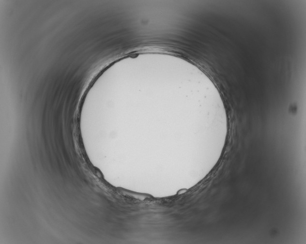 X0000116150289201001041059