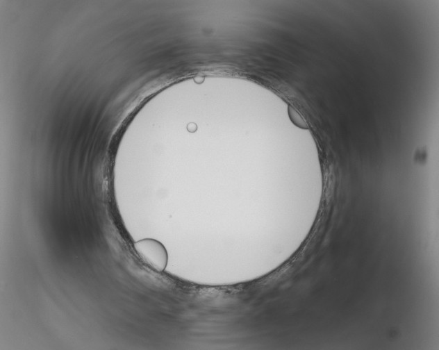 X0000116150290201001041059