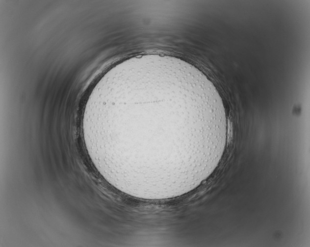 X0000116150291201001041059