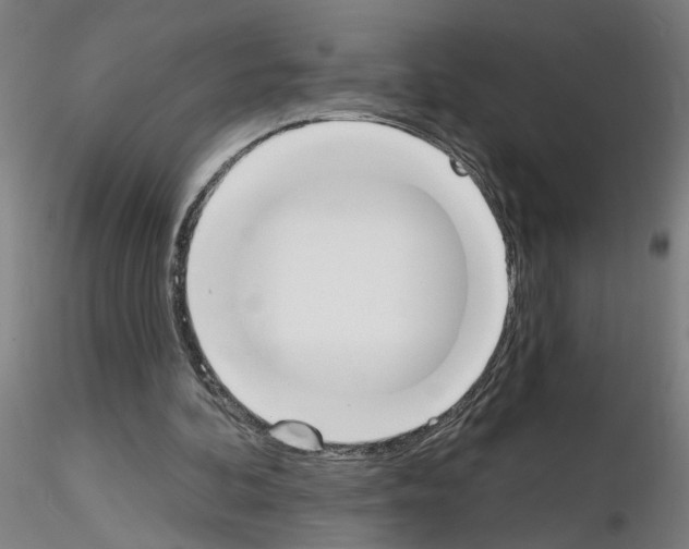 X0000116150292201001041059