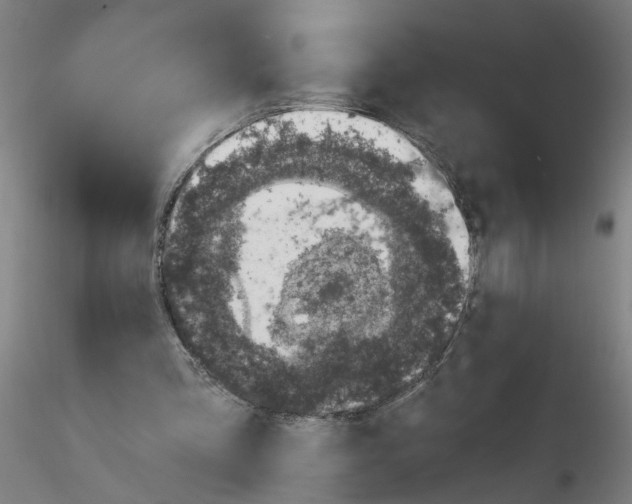 X0000116150293201001041059