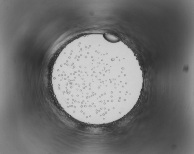 X0000116150295201001041059