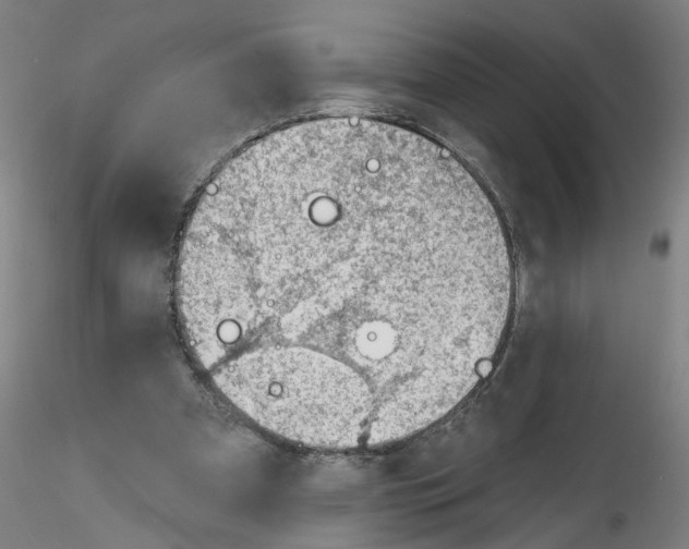 X0000116150297201001041059