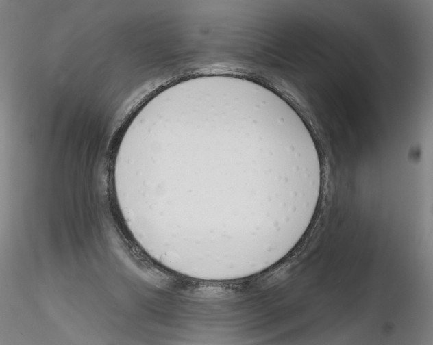 X0000116150298201001041059